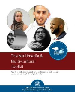 The Multimedia & Multi-culturalism Toolkit is now online for use